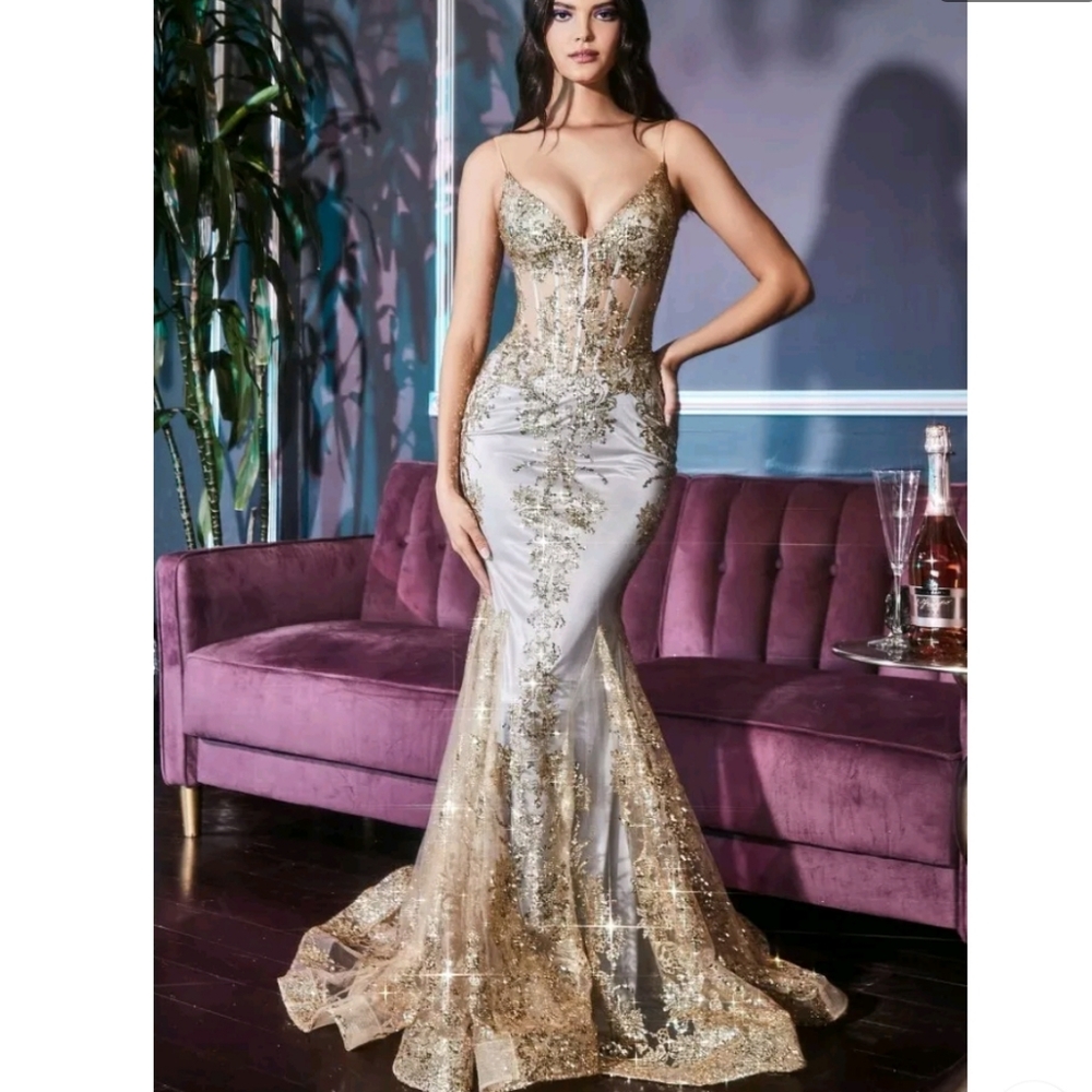 Cinderella Divine J810 Dress